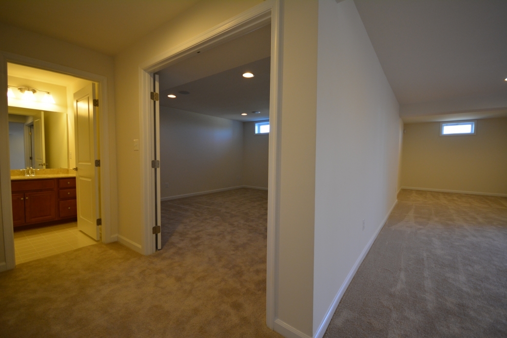 A view of the basement recreation room, media room, and bathroom.